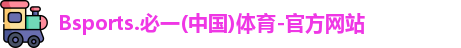 B体育官网